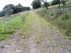 
Lower 1912 incline, West Blaina Red Ash Colliery, August 2010